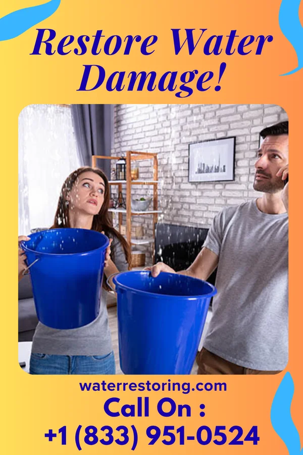 water restoration Global Disaster Cleanup Inc Lillian